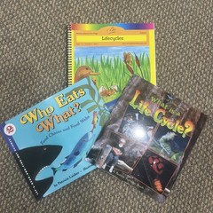 Moving Beyond the Page Unit Study Curriculum 7-9 LOT 30 Books 9 WB 21 readers