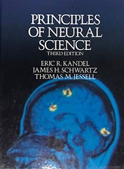 Principles of Neural Science – Hardcover By Kandel, Eric R – GOOD