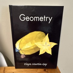 Geometry Textbook by Elayn Martin-Gay Hardcover Mathematics Geometry