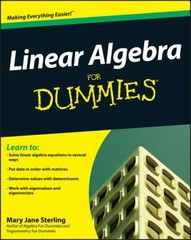 Linear Algebra for Dummies Paperback Mary Jane Sterling