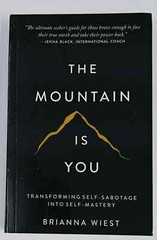 THE MOUNTAIN IS YOU BY BRIANNA WIEST