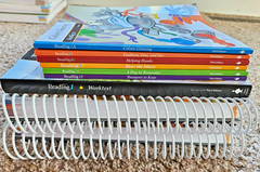BJU Grade 1 Curriculum FULL SET – Workbooks and Teacher Manuals included
